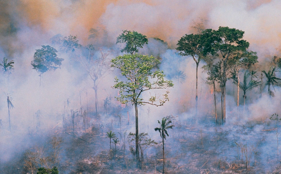 La-Amazonia-esta-ardiendo